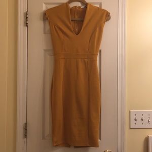 Fashion Nova size Small dress